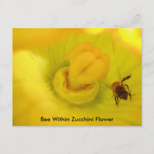Be inom Zucchini Flower Vykort