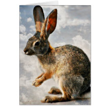 Be kaninen i himmlarna