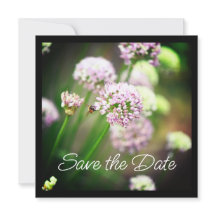 Be Lycklig med Lila Diagonal Allium Flowers