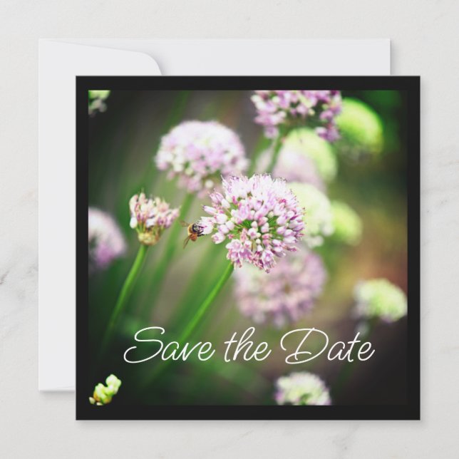 Be Lycklig med Lila Diagonal Allium Flowers (Framsida)