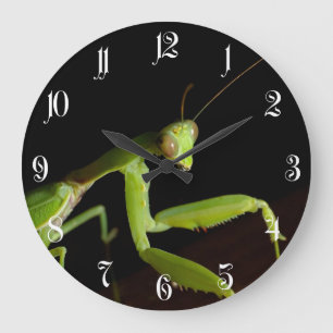 Be mantid stor klocka