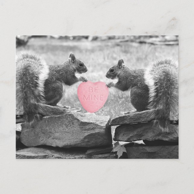 be mine squirrels vykort (Framsida)