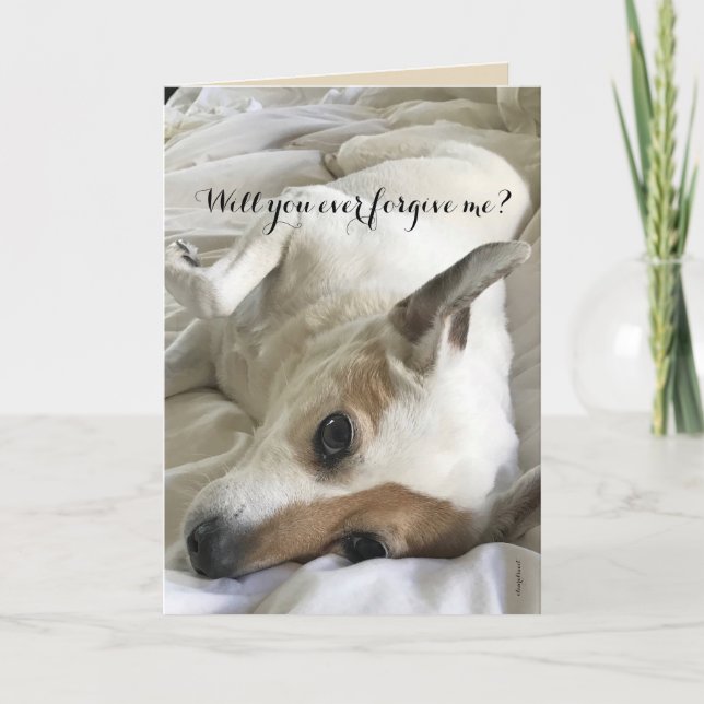 Be om förlåtelse från ett Hund-Älskare-kort Kort (Framsida)