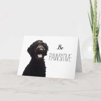 Be Pawsitive - Labradoodle Kort