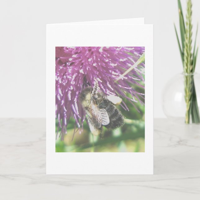 Be Samlar in Thistle Pollen Note Card Helgkort (Framsida)