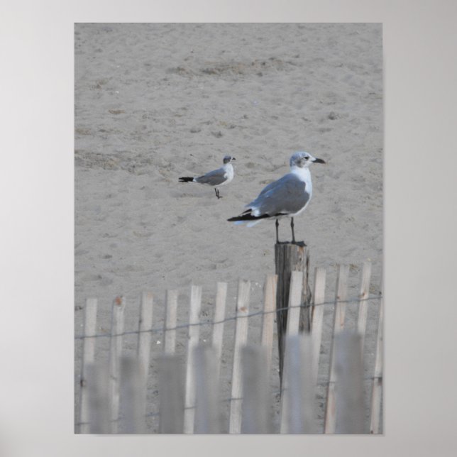 Beach ~ 25,5 poster (Framsidan)