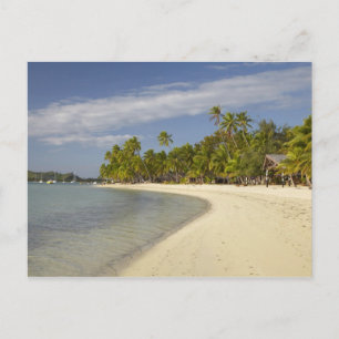 Beach and handflatan träd, Plantation Island Resor Vykort