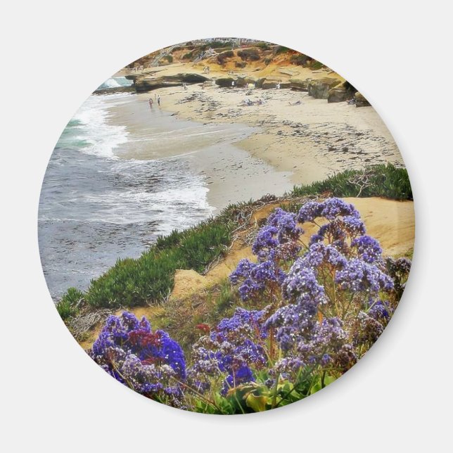 Beach at La Jolla Cove Magnet (Framsidan)