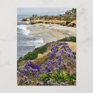 Beach at La Jolla Cove Vykort