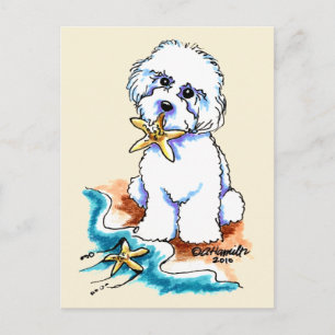 Beach Babe Bichon Frise Vykort
