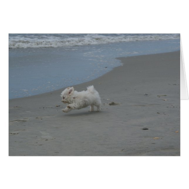 Beach Baby OBS Kort (Framsidan Horizontal)