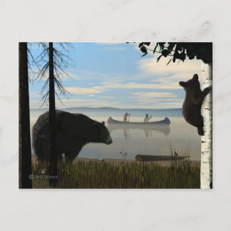 Beach Bears Vykort