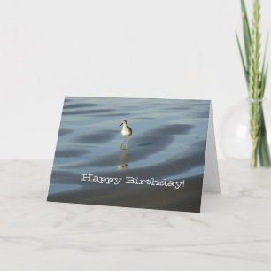 Beach Bird Grattis på födelsedagen 1 Kort