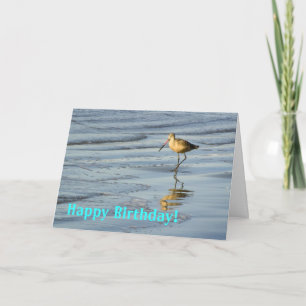Beach Bird Grattis på födelsedagen 2 Kort