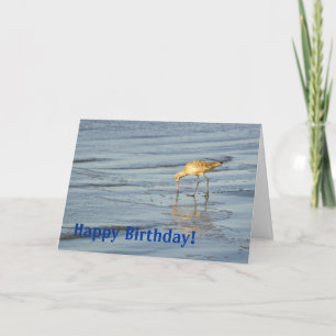 Beach Bird Grattis på födelsedagen 3 Kort