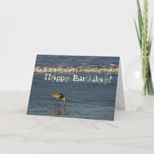 Beach Bird Grattis på födelsedagen 4 Kort