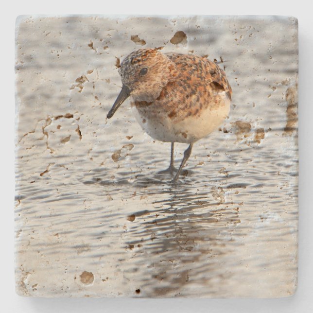 Beach Bird Photo Stone Coaster Stenunderlägg (Framsidan)
