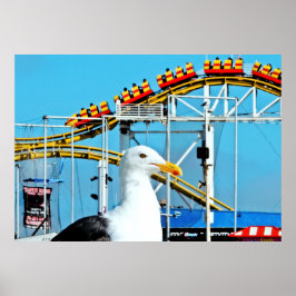 BEACH BIRD-utskrift, värde Poster Pappert (projekt