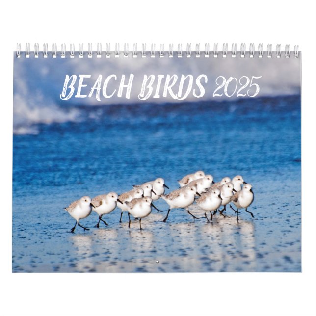 Beach Birds 2025 Kalender (Omslag)