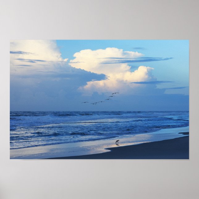 Beach Birds at Dawn 1 Poster (Framsidan)