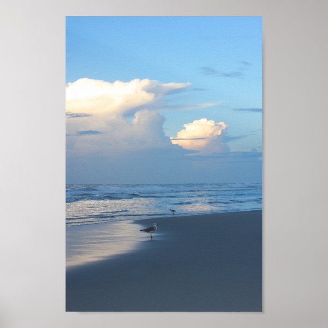 Beach Birds at Dawn 2 Poster (Framsidan)