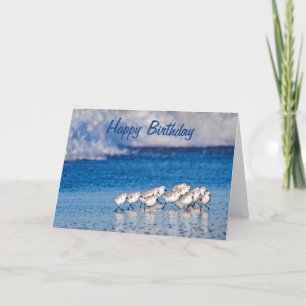 Beach Birds Grattis på födelsedagen Kort