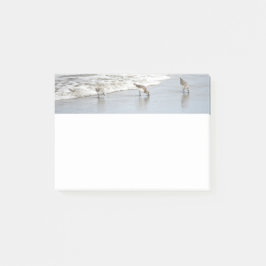 Beach Birds in Surfa 4x6 Notes Post-it Block