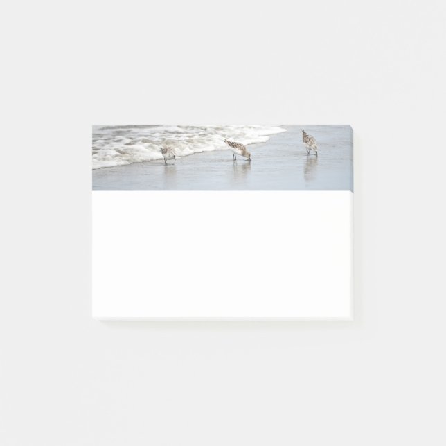 Beach Birds in Surfa 4x6 Notes Post-it Block (Framsida)