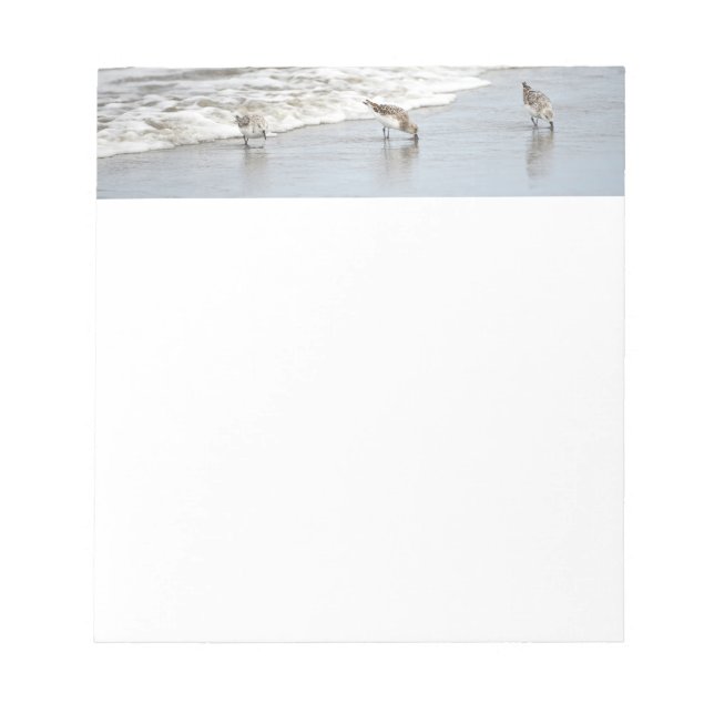 Beach Birds in Surfa Notes Anteckningsblock (Framsida)