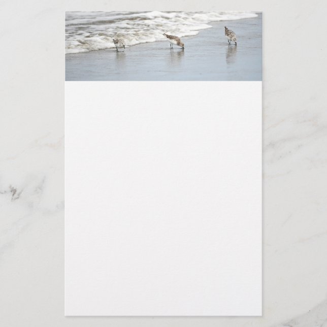 Beach Birds in Surfa Notes Brevpapper (Framsida)