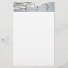 Beach Birds in Surfa Photo Stationery Papper