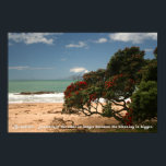 Beach Bliss - Pohutukawa Träd - var tålmodig Poster<br><div class="desc">Ta kontakt med naturen. Gå in i den här scenen av fred och skönhet. Ha tålamod. Ibland är väntetiden längre eftersom välsignelsen är större. Denna vackra stora Pohutukawa-träd påminner om det. Perfekt för ditt hem,  kontor eller ställe av meditationer.</div>