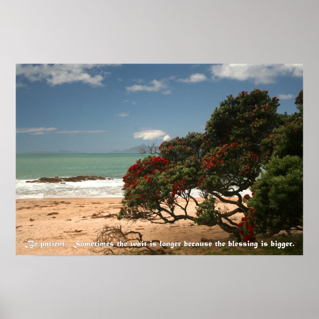 Beach Bliss - Pohutukawa Träd - var tålmodig Poster (Framsidan)