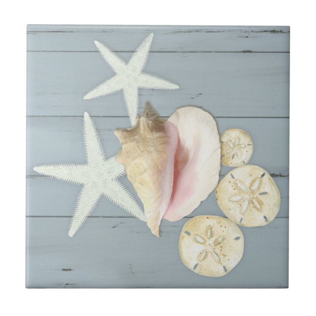 Beach Blue Cottage Starfish Sanddollarkontur Snäck Kakelplatta (Framsidan)