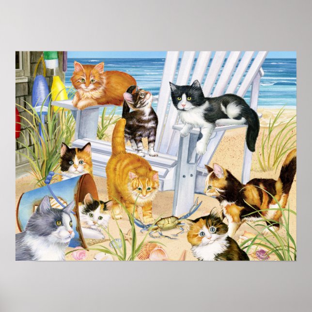 Beach Bum Kittens Poster (Framsidan)
