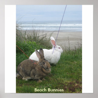 Beach Bunnies Poster - Anpassad