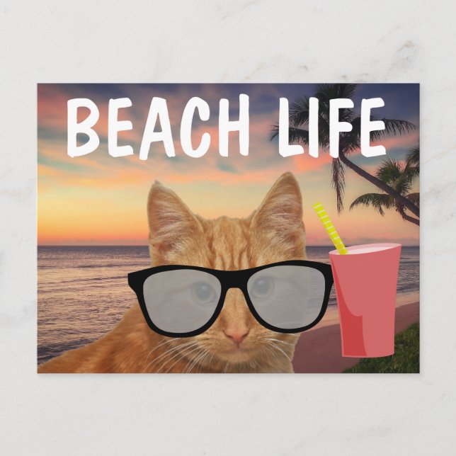 BEACH CAT GINGER SUNGLASSES POSTCARD VYKORT (Framsida)