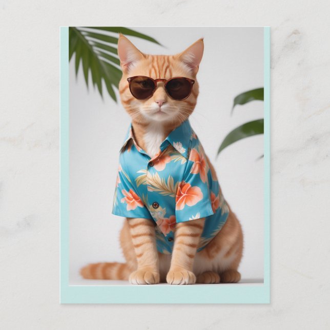BEACH CAT MED SUNGLASSES-vykort Vykort (Framsida)