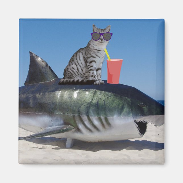 BEACH CAT ON SHARK FUNNY magnets Magnet (Framsidan)