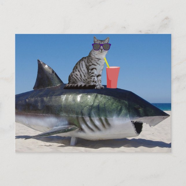 BEACH CAT ON SHARK FUNNY POSTCARD VYKORT (Framsida)