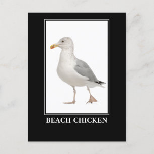 Beach Chicken - Fiskmås Gull Humor Vykort