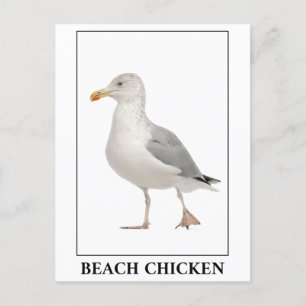 Beach Chicken - Fiskmås Gull Humor Vykort