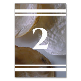 Beach Clams Bröllop Bordsnummer