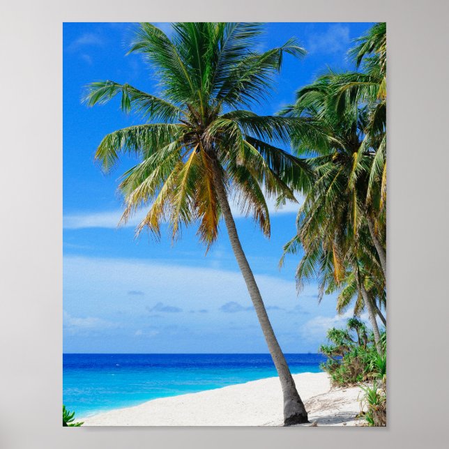 Beach Coconut Träd Poster (Framsidan)