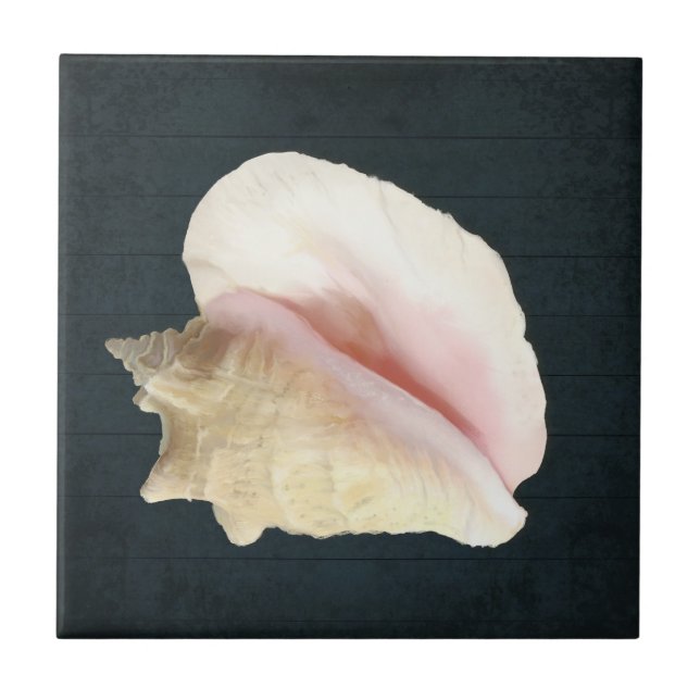 Beach Conch Seashell Coastal Snäcka Navy Blue Wood Kakelplatta (Framsidan)