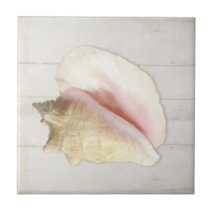 Beach Conch Seashell Coastal Snäcka White Wood Kakelplatta