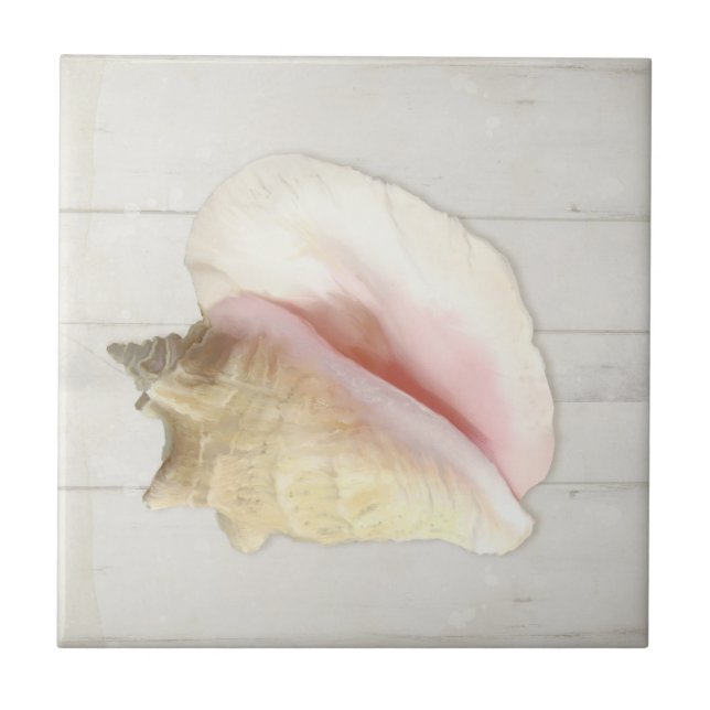 Beach Conch Seashell Coastal Snäcka White Wood Kakelplatta (Framsidan)