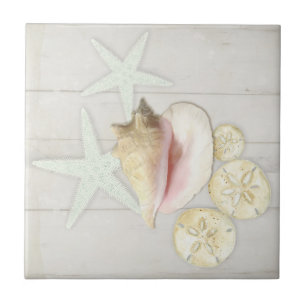 Beach Cottage Starfish Sanddollar Conch Snäcka Wo Kakelplatta