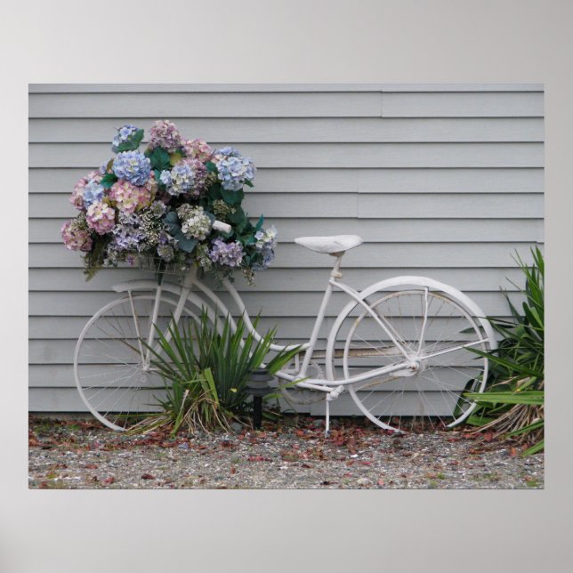 Beach-cykel Poster (Framsidan)