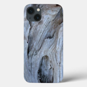 Beach Driftwood